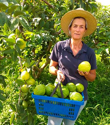 Tera Nutrição Vegetal: “É importante homenagear os heróis do campo”
