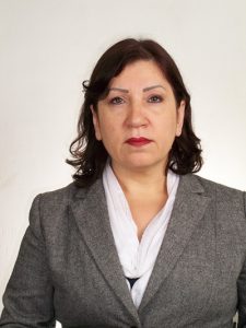 Dia de Proteção às Florestas: Tecnologia potencializa práticas ESG no setor florestal