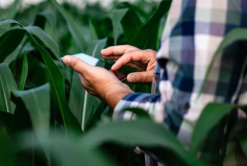 Relacionamento com clientes e entrega de experiências é destaque da BASF no 12º Congresso ANDAV