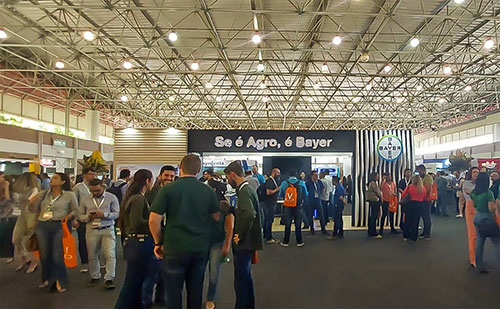 Bayer apresenta inovações e avanços no combate a nematoides no Congresso Brasileiro de Nematologia