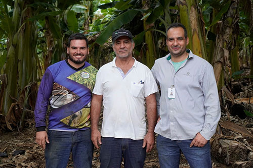 Produtor de banana supera média nacional de produtividade com protocolo de cultivo da Coopercitrus