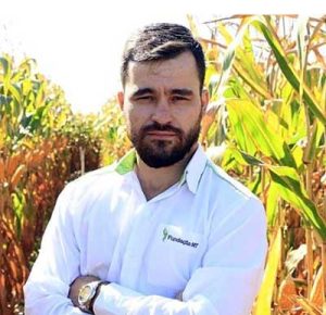 Como ser eficiente na adubação nitrogenada do algodoeiro?