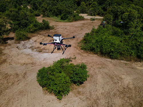 Empresa sucroenergética da Bahia adota tecnologia de drones para reflorestar áreas com Mata Atlântica