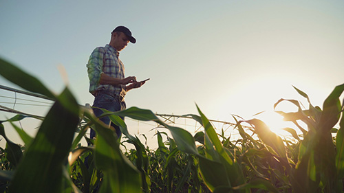 Plataforma ajuda distribuidores na digitalização das informações técnicas do campo