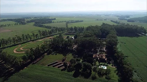 Propriedade paranaense tem redução de custos na agricultura e alta produtividade na pecuária com ILPF