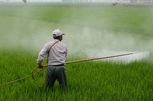 Com pegada sustentável, Symbiomics desenvolve tecnologias para redução de agrotóxicos e aumento da produtividade no campo