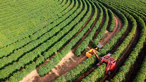  ABDI E MAPA LANÇAM TERCEIRO EDITAL DO AGRO 4.0