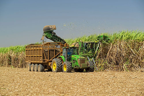 Sol e Usina Caeté lançam programa de digitalização rural para tornar produção mais eficiente