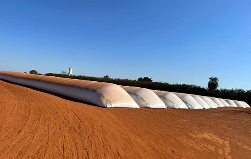 Venda recorde de silo-bolsa ajuda a amenizar o déficit de armazenamento no Brasil