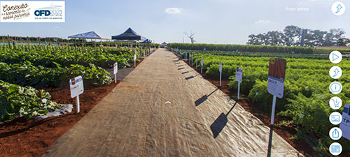 Imersão digital leva novidades em horticultura para produtores brasileiros