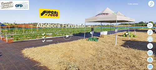 Imersão digital leva novidades em horticultura para produtores brasileiros