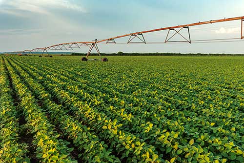 CJ Selecta é primeira empresa da América Latina a receber financiamento verde do JP Morgan