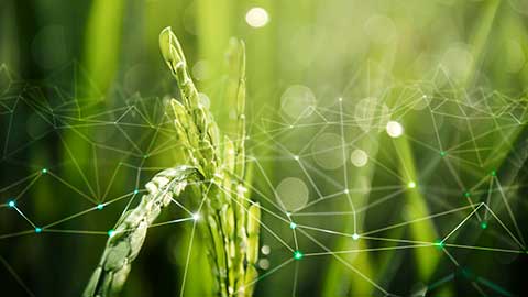 Fórum Bioinsumos no Agro reúne players para discutir setor, que tem mercado estimado de R$ 17 bilhões até 2030