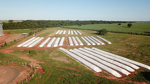 Armazenamento da safra de grão 2024/25 precisa ser planejado agora