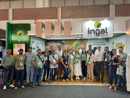 Nem químico, nem biológico: novidade contra nematoides vem de um extrato vegetal