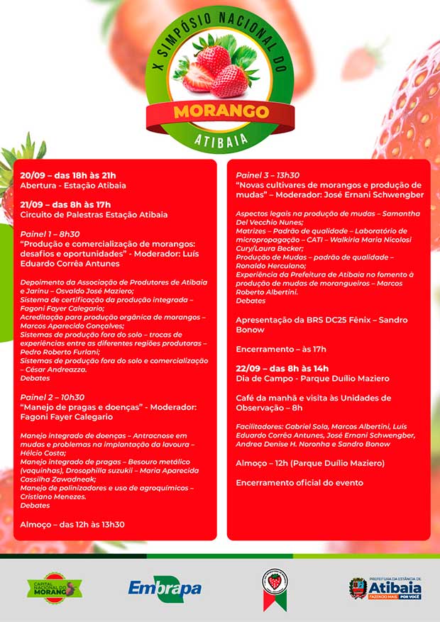 X Simpósio Nacional do Morango: nova cultivar do fruto será lançada durante evento em Atibaia