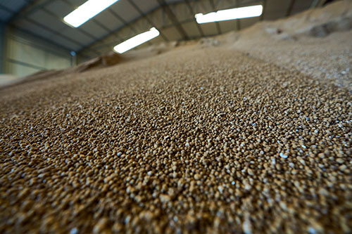 Novos investimentos no Porto de Antonina atraem produtores norte-americanos