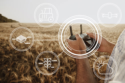 Prazo de coleta de dados da pesquisa "caminhos da tecnologia no agronegócio: oportunidades, desafios e perspectivas" é prorrogado até 30 de setembro