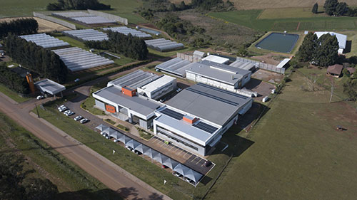 GDM firma acordo para adquirir a empresa Biotrigo Genética