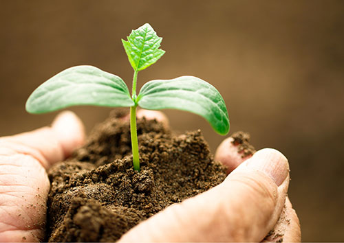 O Broto, plataforma digital do BB para o agro, está oferecendo uma nova forma de adquirir a tecnologia da Perfect Flight