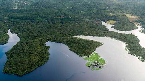 Brasil poderá ter 15% das exportações globais de hidrogênio de baixo carbono até 2030, segundo estudo do BCG