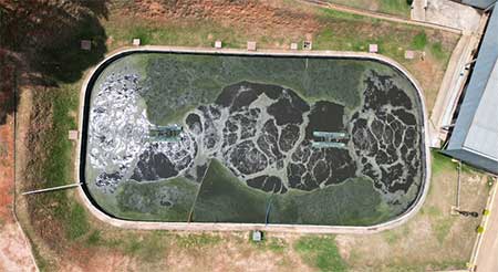 Frigorífico mineiro adota biotecnologia como estratégia sustentável no tratamento de efluentes 