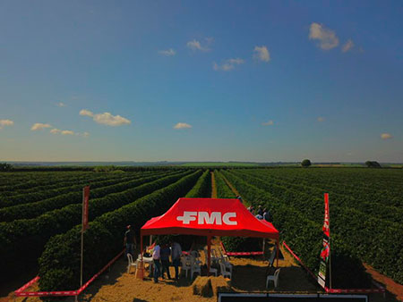 FMC lança Malathion® 1000 para os cafezais 