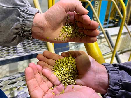 Uso de fertilizantes, tendência na agricultura orgânica