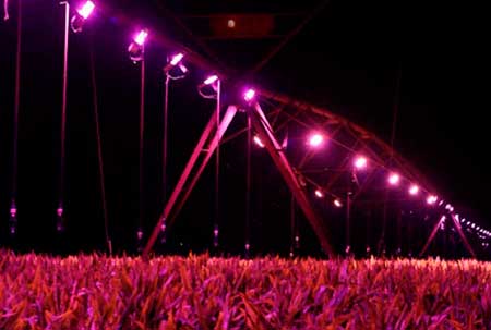 No Agro-LED 2023, Nortel apresenta solução de suplementação luminosa que promete revolucionar a agricultura