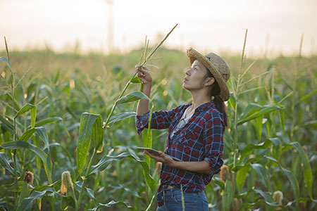 Modernização do agro passa pela equidade de gênero