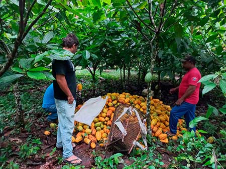 Documentário sobre geração de renda e conservação da floresta no Médio Xingu se destaca em festivais e mostras de cinema em todo mundo