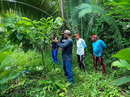Documentário sobre geração de renda e conservação da floresta no Médio Xingu se destaca em festivais e mostras de cinema em todo mundo