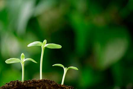  Soluções Biológicas para a Resiliência Climática