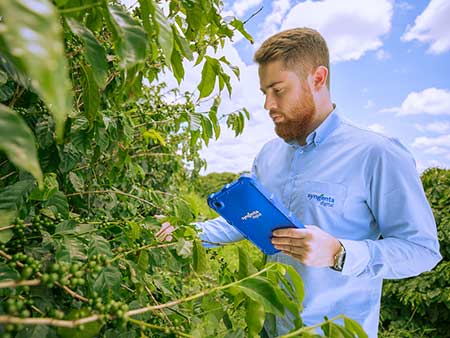 Syngenta expande ferramentas da Cropwise no Brasil e oferece solução para diagnóstico digital de nematoides