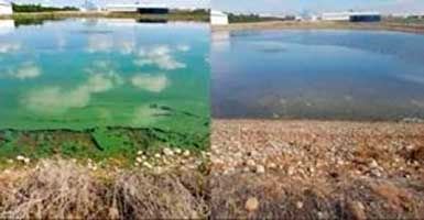 Fluid Feeder lança produto e tecnologia para águas residuais e controle de algas na FENASAN 2023