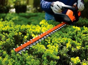 Economia e autonomia: BLACK+DECKER oferece ferramentas para jardinagem com bateria intercambiável de 4Ah