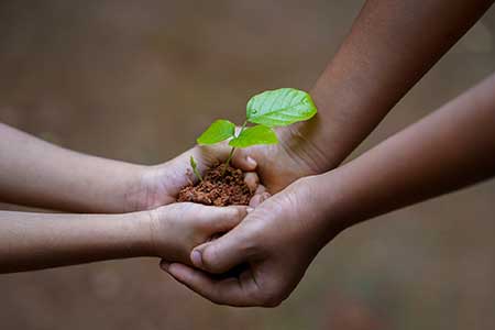 Agronegócio e natureza podem e devem ser aliados