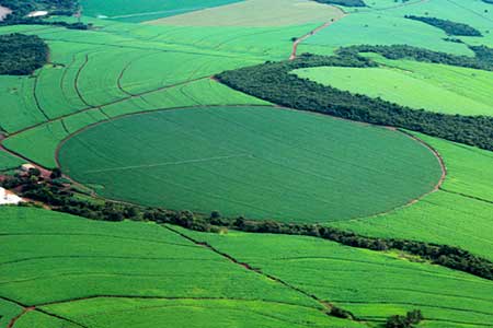 ANA lança mapeamento com dados atualizados sobre agricultura irrigada por pivôs centrais no Brasil