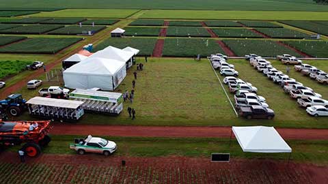 Como 30 anos de pesquisas da Fundação MT contribuíram com o agronegócio