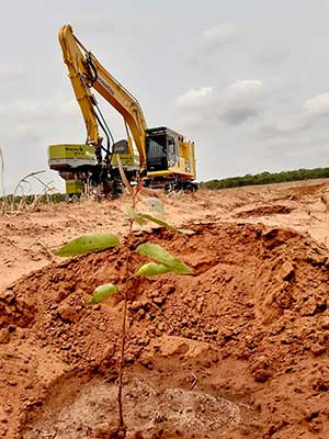Reflorestar inicia demonstração de plantio mecanizado na Suzano