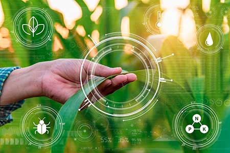 Varda avança no Brasil com novas parcerias para promover a integração de dados agrícolas