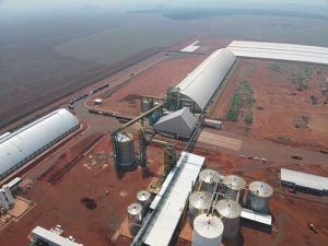 CerradinhoBio avança em expansão e diversificação do negócio na Safra 23/24, mantendo a disciplina financeira