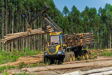 Ponsse avalia perfil do mercado de máquinas de colheita florestal no Brasil