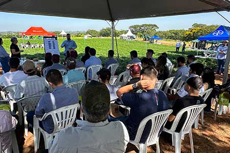 Unoeste realiza Simpósio Brasileiro do Amendoim em Prudente