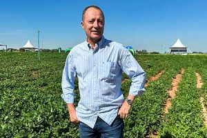 Unoeste realiza Simpósio Brasileiro do Amendoim em Prudente