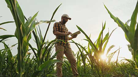 Programa de fidelidade do agronegócio possibilita a 235 mil produtores rurais trocarem pontos por produtos e serviços