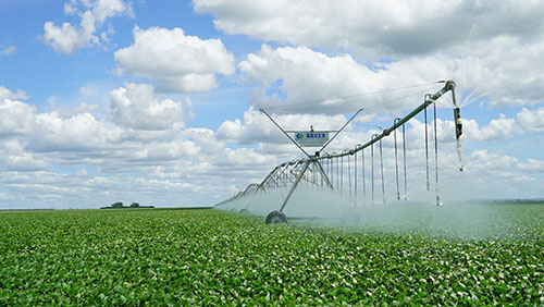 Irrigação em expansão: Seis estados concentram quase 100% dos pivôs do Brasil