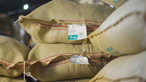 
Hub da Expocacer começa operações nos Estados Unidos