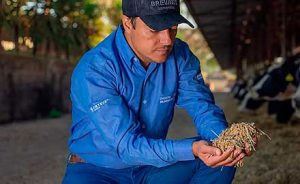 Para comemorar o Dia Nacional do Engenheiro Agrônomo, profissionais se unem e compõem música sobre a paixão pelo trabalho e o agronegócio