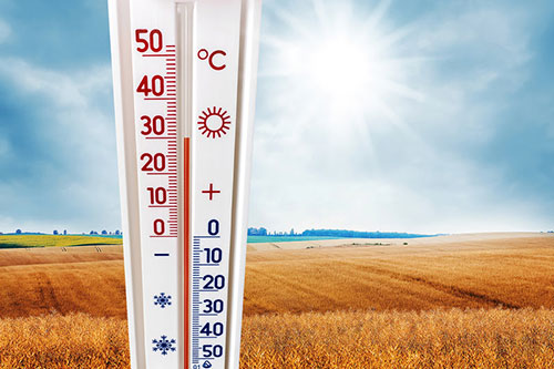 Estações meteorológicas e tecnologias avançadas impactam a agricultura moderna